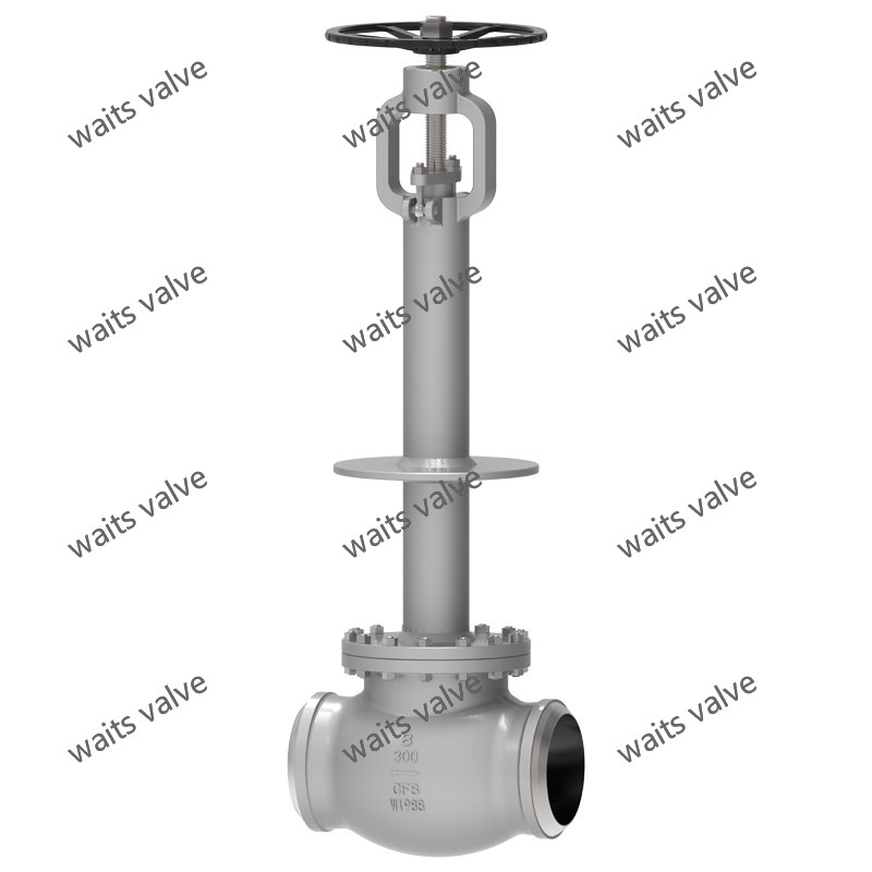Cryogenic Globe Valve