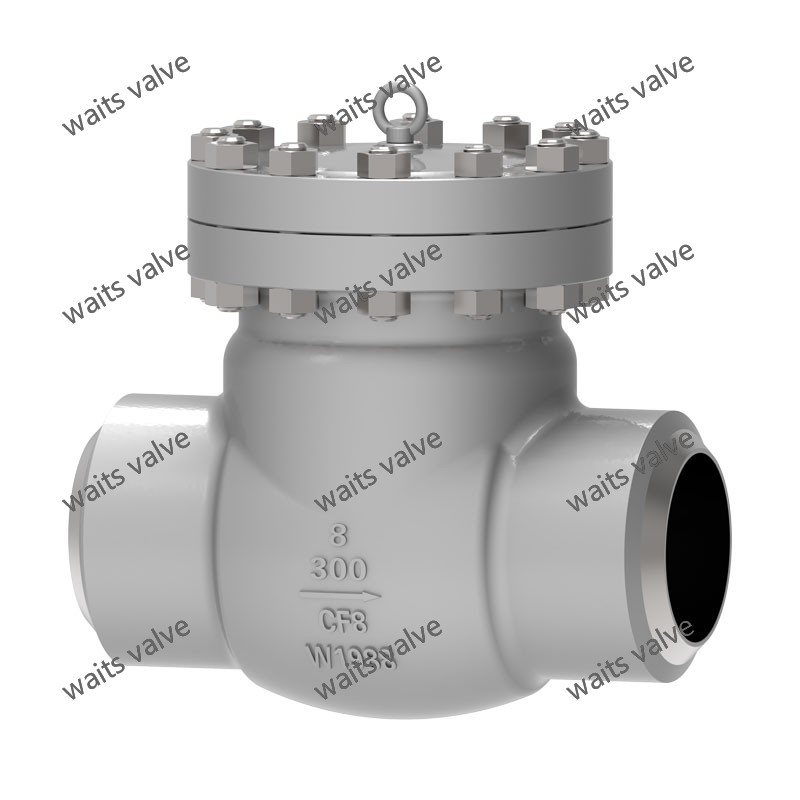Cryogenic Swing Check Valve