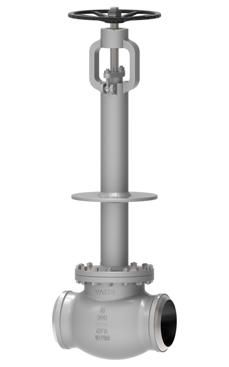 Cryogenic Globe Valve