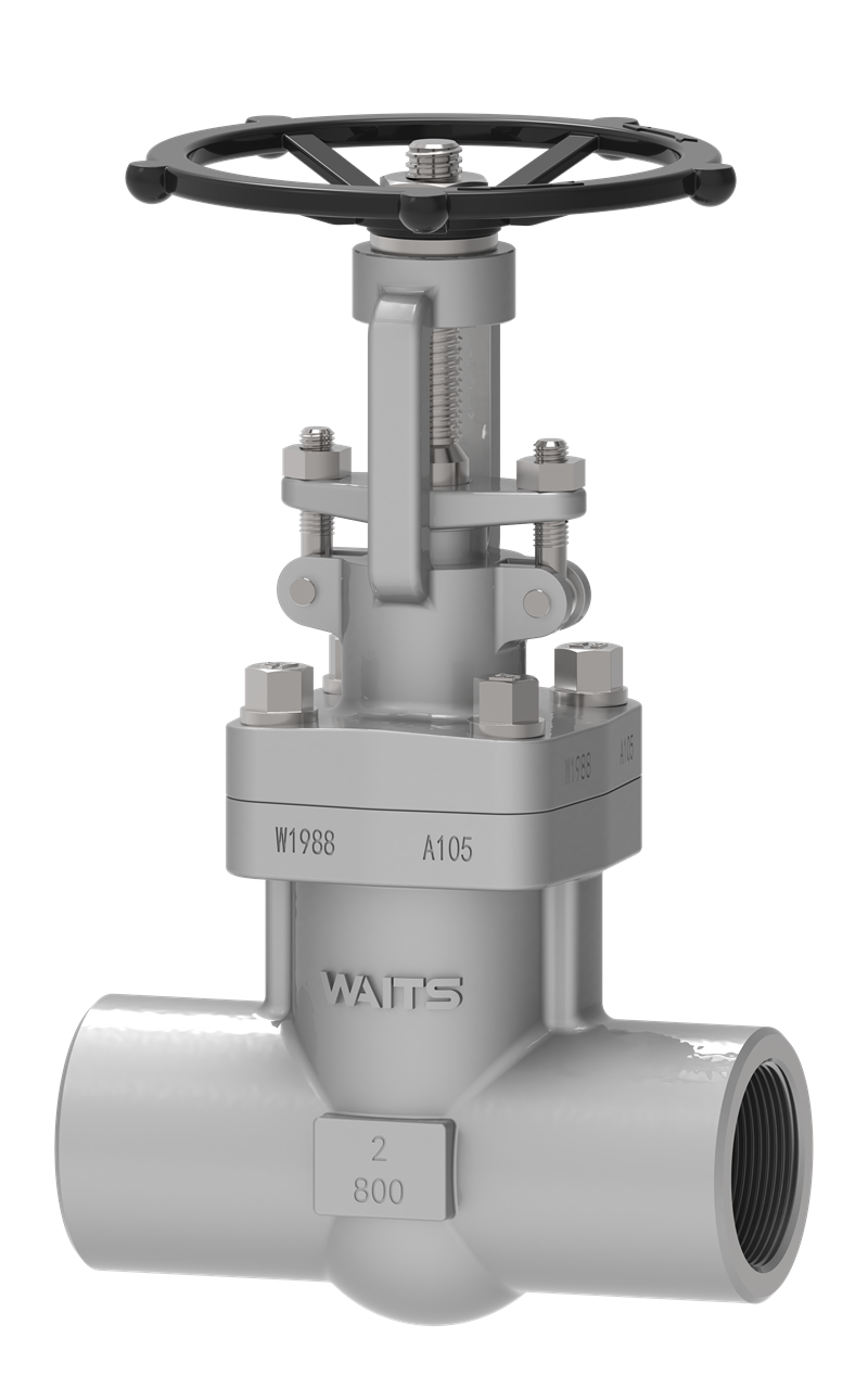 NPT Forged Steel Gate Valve