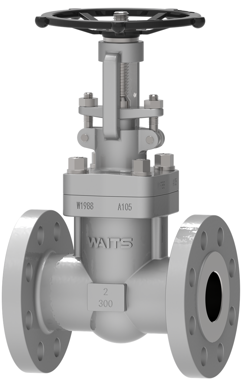 Forged Steel Gate Valve
