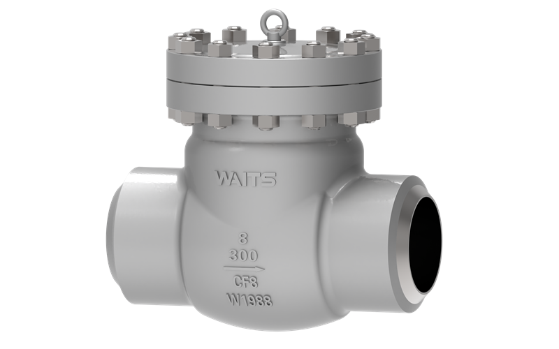 Cryogenic BW Check Valve